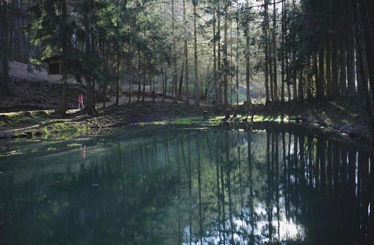 Ferienhaus "Baeren Ecke" Am See Im Bergland Кирххайм Экстерьер фото